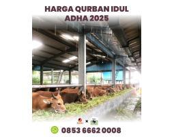  Pusat Penjualan Hewan Qurban 2025 Mulai 3 Juta - Batam Kepulauan Riau 