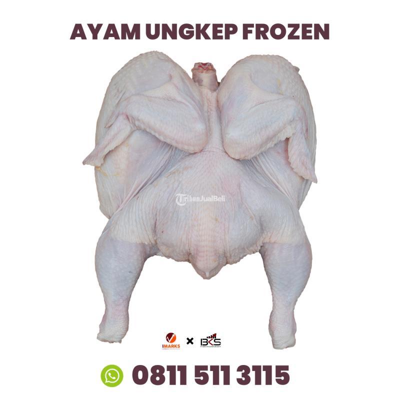 Pusat Pabrik Ayam Ungkep Frozen - Samarinda Kalimantan Timur 