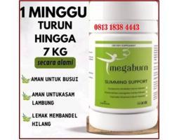 Megaburn Slimming Support Capsule Asli Original - Yogyakarta 