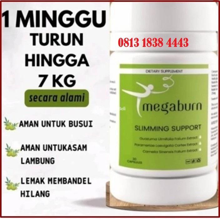 Megaburn Slimming Support Capsule Asli Original - Yogyakarta 