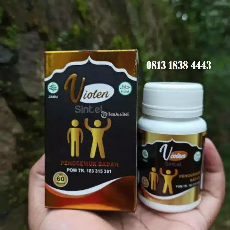  Violen Obat Penggemuk Badan Herbal Alami - Denpasar Bali 