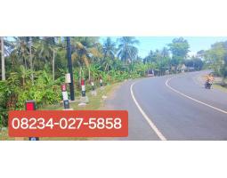 Dijual Tanah 17560 m2 SHM di Jalan Denpasar Gilimanuk Melaya - Jembrana Bali