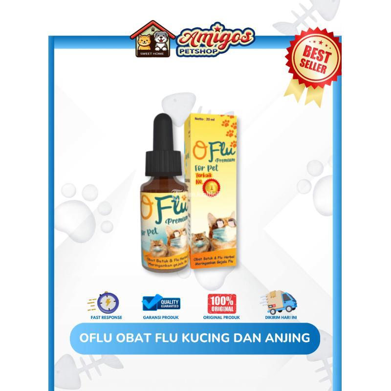 Oflu Obat Flu Kucing dan Anjing Amigos Petshop - Makassar Sulawesi Selatan
