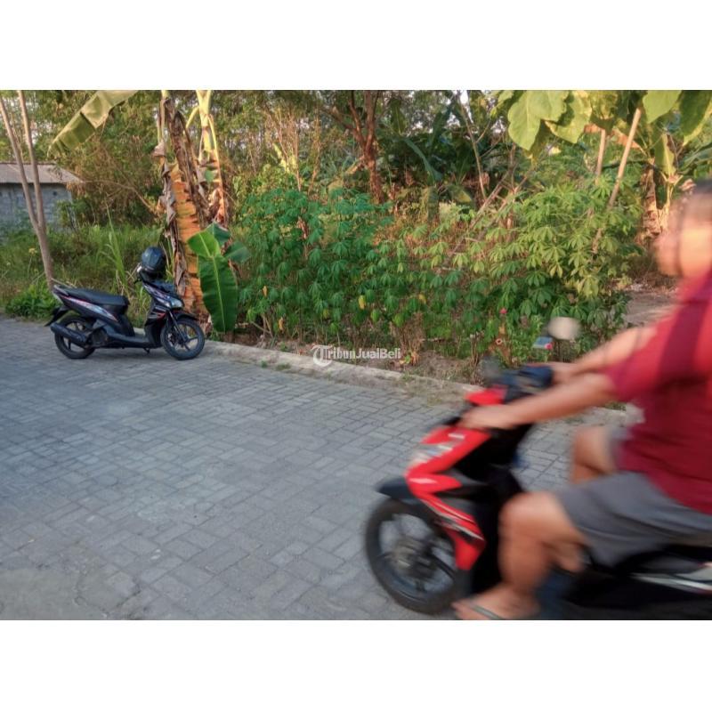 Jual Tanah Kavling Luas 592 m2 Selatan Jalan Jambon Dalam Ringroad Barat - Sleman Jogja