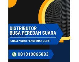 Supplier Peredam Studio Musik Harga Termurah Jaminan Kualitas Tinggi - Metro Lampung