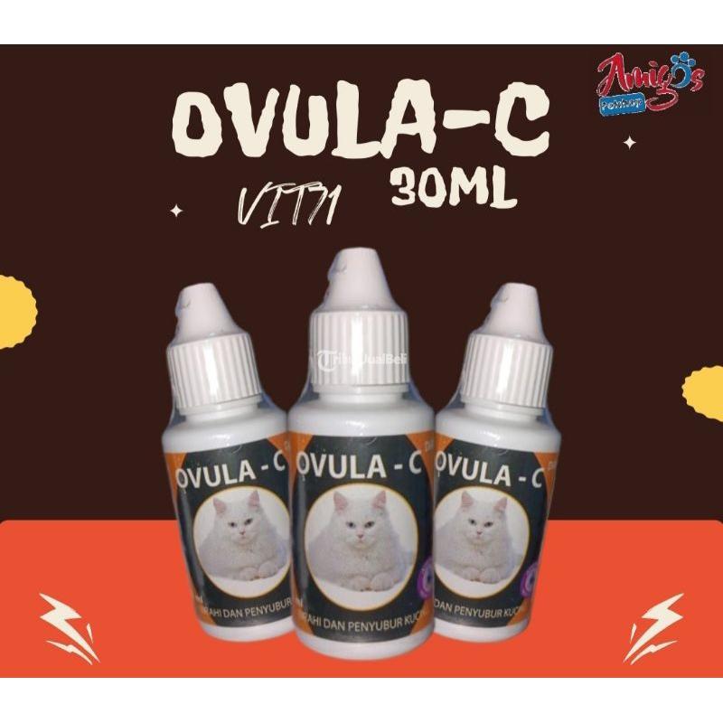 Ovula C 30ml Peningkat Birahi Penyubur Kucing - Makassar Sulawesi Selatan