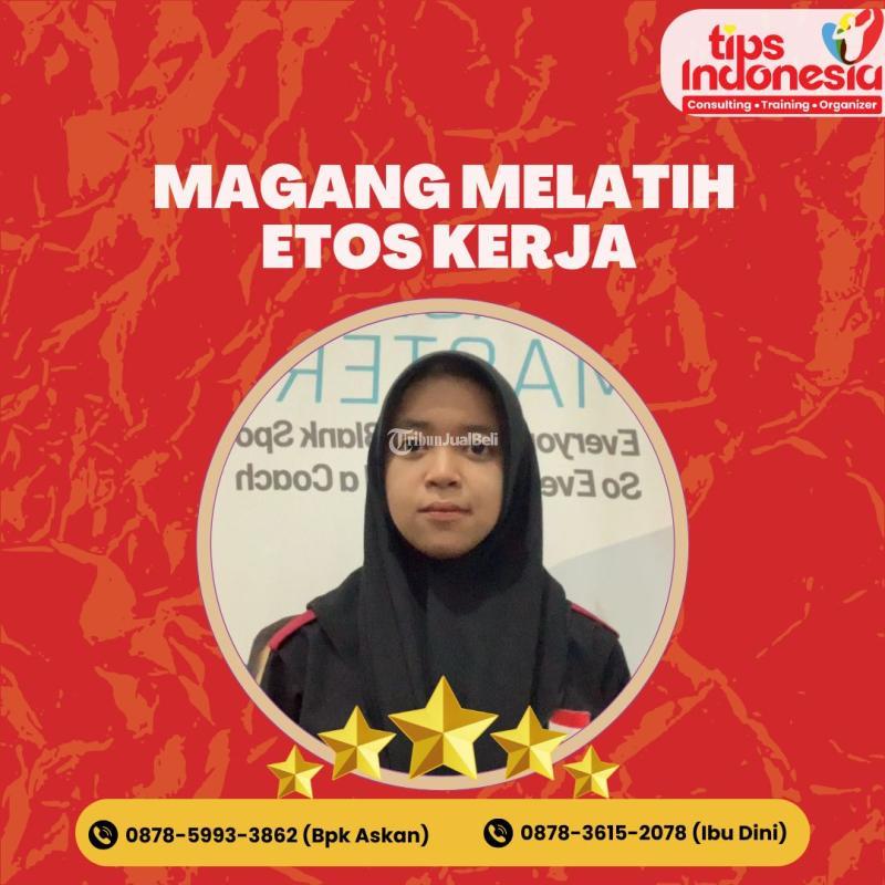 Magang Mahasiswa dan SMK Digital Marketing - Malang Jawa Timur