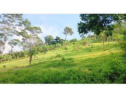 Dijual Tanah 9.286 m2 di Campang Raya Bandar Lampung Dekat Pasar Beringin - Bandar Lampung