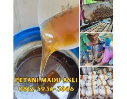 Supplier Madu Asli Bogor Terdekat Bisa COD Babelan - Bekasi Jawa Barat