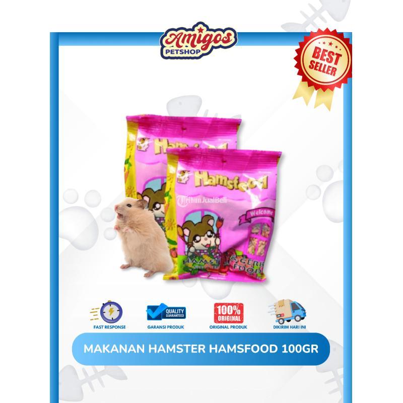 Makanan Hamster Hamsfood 100 Gr Amigos Petshop - Makassar Sulawesi Selatan 