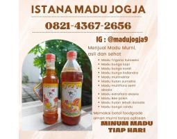 Madu Murni Asli dan Sehat - Yogyakarta