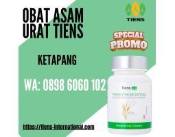  Distributor Obat Asam Urat Tiens - Ketapang Kalimantan Barat 