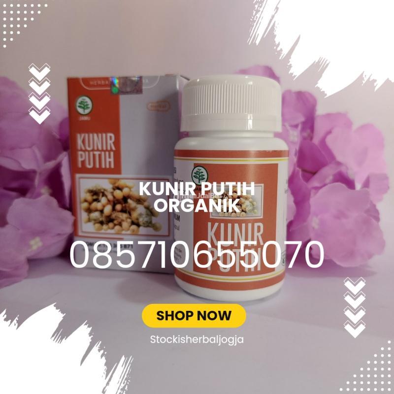 Kunir Putih Organik Harga Murah - Bantul Yogyakarta 