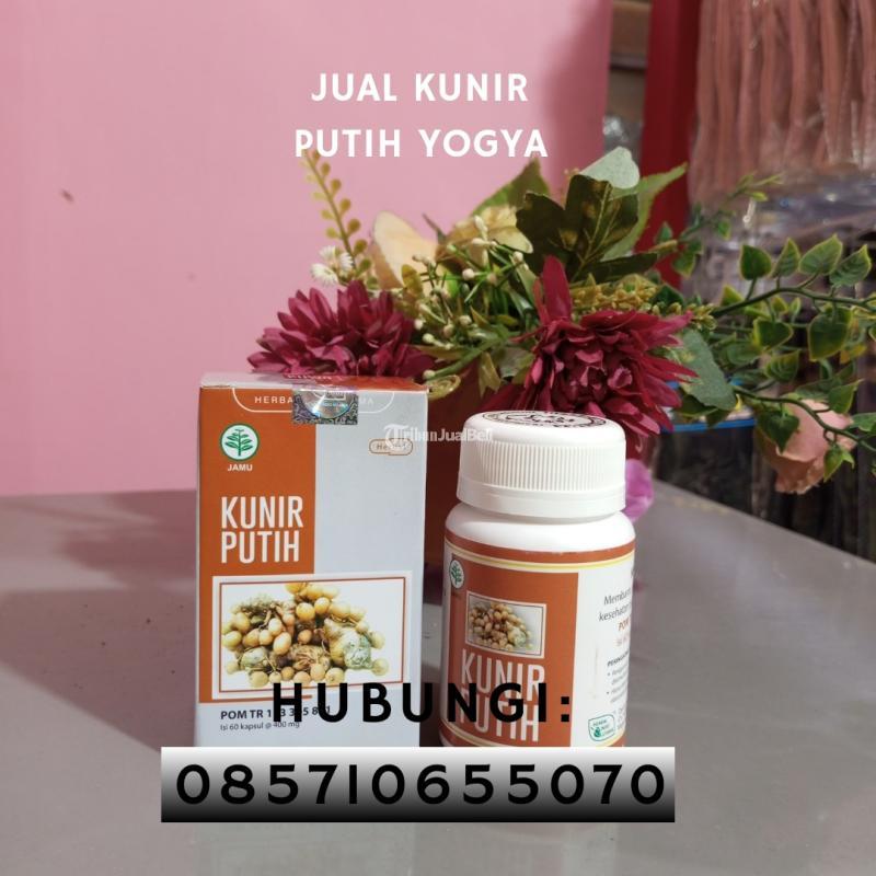 Stockis Kunir Putih Harga Terjangkau - Bantul Yogyakarta 