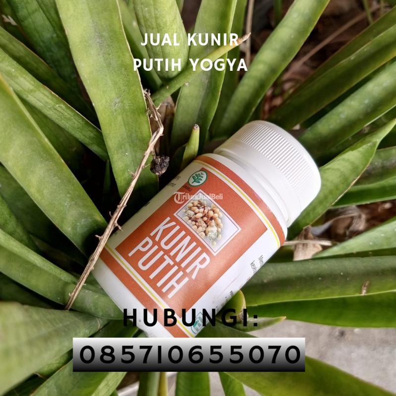 Stockis Kunir Putih Harga Terjangkau - Bantul Yogyakarta