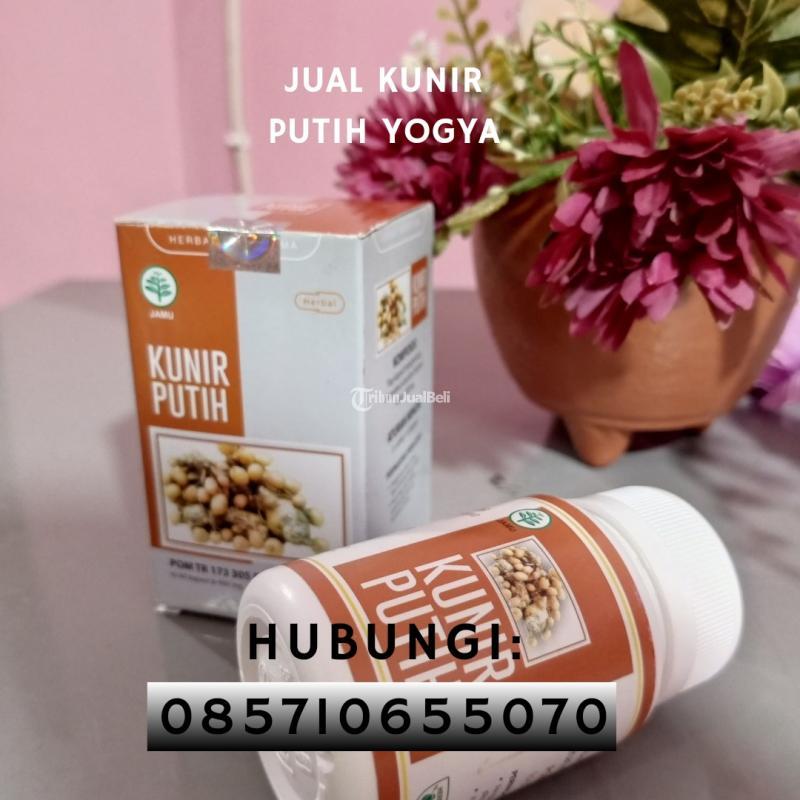 Stockis Kunir Putih Harga Terjangkau - Bantul Yogyakarta
