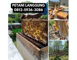 Supplier Madu Asli Terdekat Parung Bisa COD - Bogor Jawa Barat