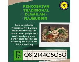  Terapi Pengobatan Diabetes Melitus Ny. Djamilah - Bandung Jawa Barat 