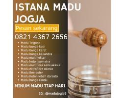 Madu Murni, Sehat, Asli, Jogja Istana Madu - Bantul Yogyakarta