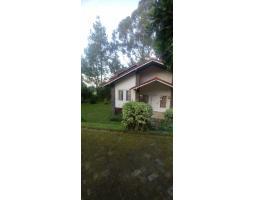 Dijual Villa Hitung Tanah LT560 LB150 SHM 3KT 2KM di Istana Bunga Lembang - Bandung Barat Jawa Barat