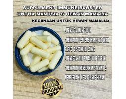 4 Life Transfer Factor Tri Formula Imune Vitamin Hewan Kucing - Kotabaru Kalimantan Selatan