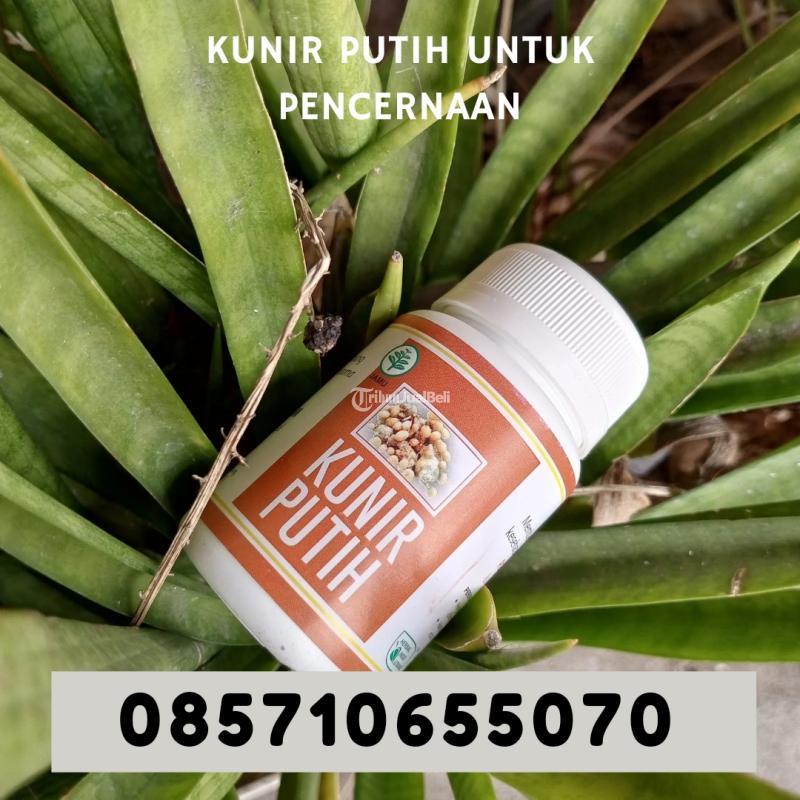 Kunir Putih untuk Percernaan - Bantul Yogyakarta