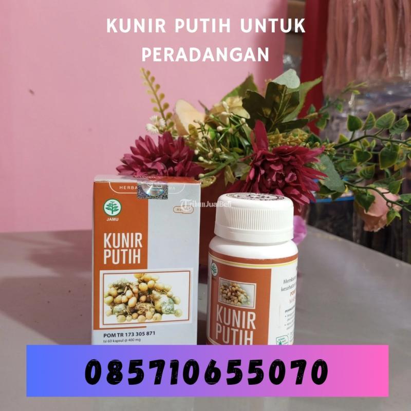 Kunir Putih untuk Peradangan - Bantul Yogyakarta 