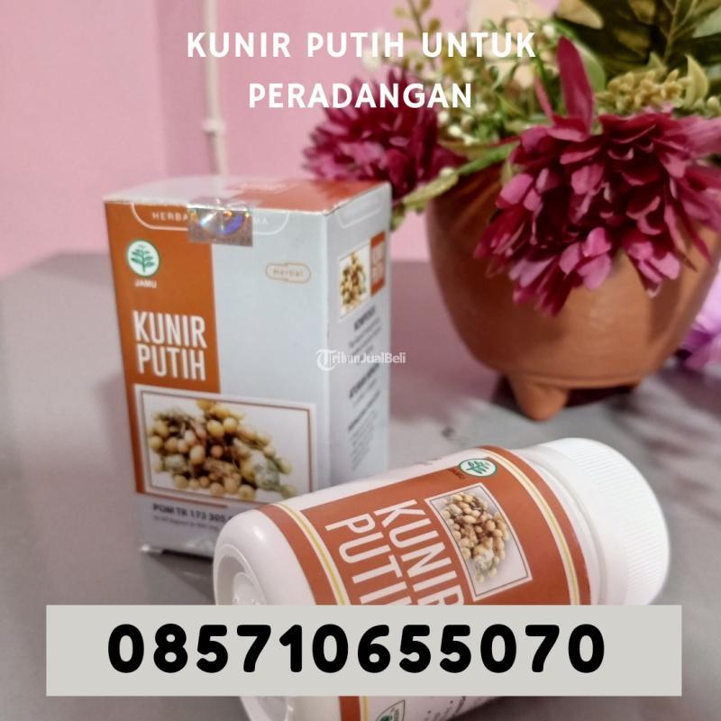Kunir Putih untuk Peradangan - Bantul Yogyakarta
