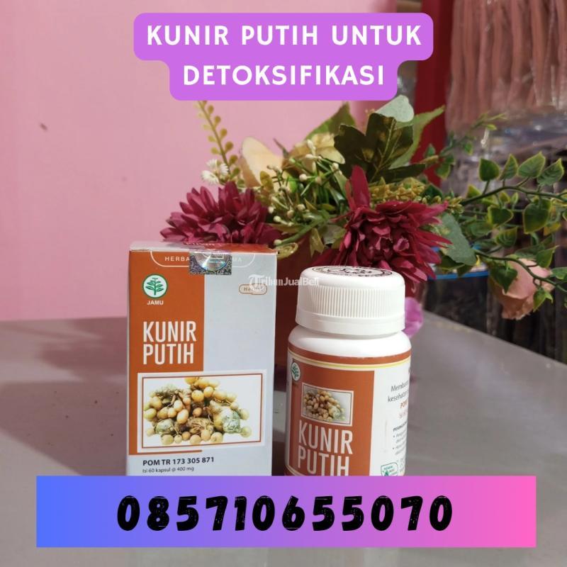Kunir Putih untuk Detoktifikasi - Bantul Yogyakarta 