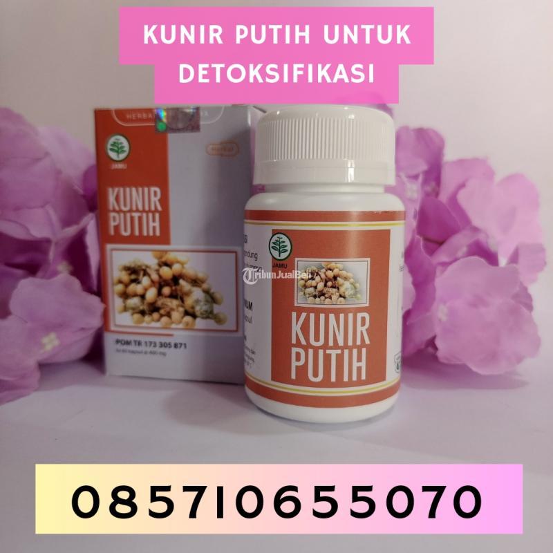Kunir Putih untuk Detoktifikasi - Bantul Yogyakarta