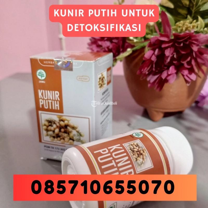 Kunir Putih untuk Detoktifikasi - Bantul Yogyakarta