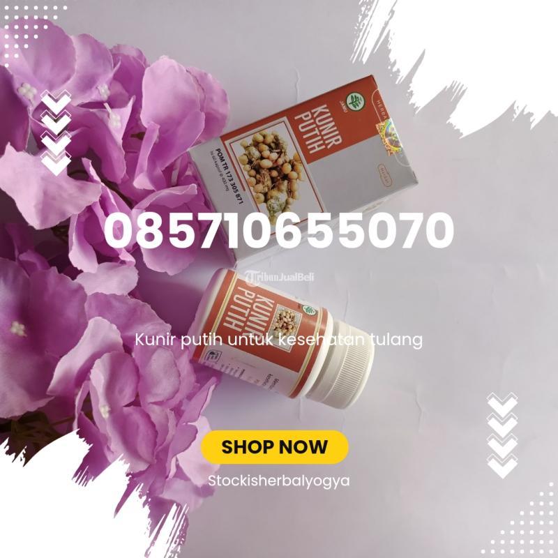 Kunir Putih untuk Kesehatan Tulang - Bantul Yogyakarta 