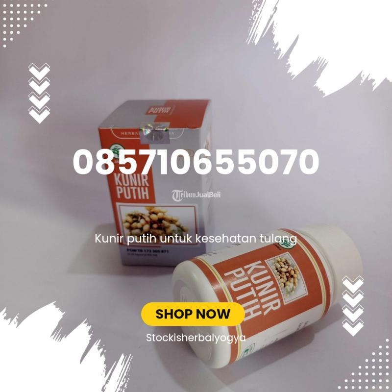 Kunir Putih untuk Kesehatan Tulang - Bantul Yogyakarta