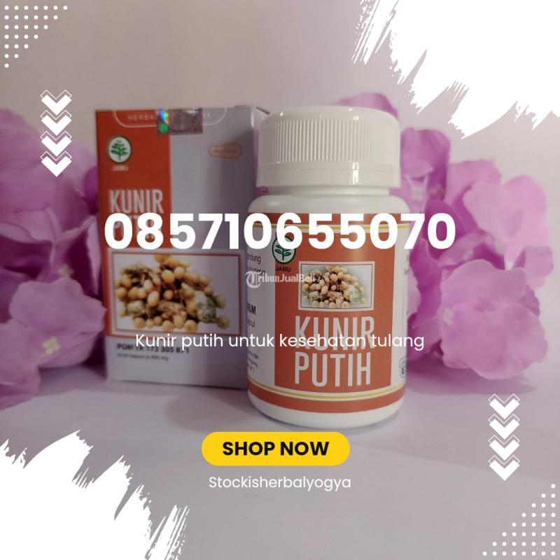 Kunir Putih untuk Kesehatan Tulang - Bantul Yogyakarta