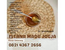 Madu Pakualaman Murni, Sehat, Asli, Jogja Istana Madu - Yogyakarta