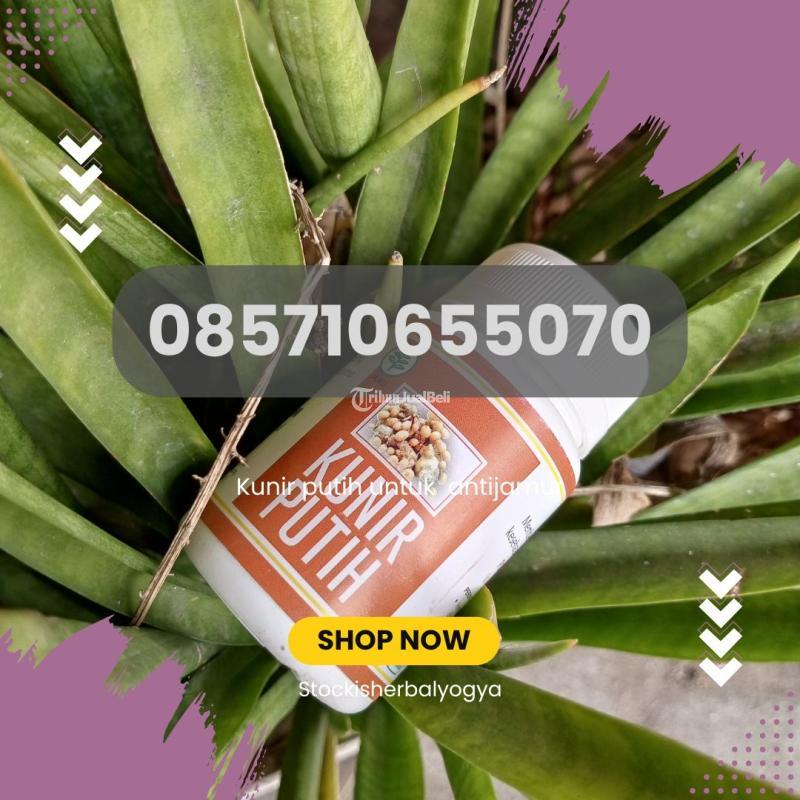 Kunir Putih Anti Jamur - Jogja