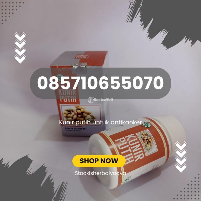 Kunir Putih Anti Jamur - Jogja