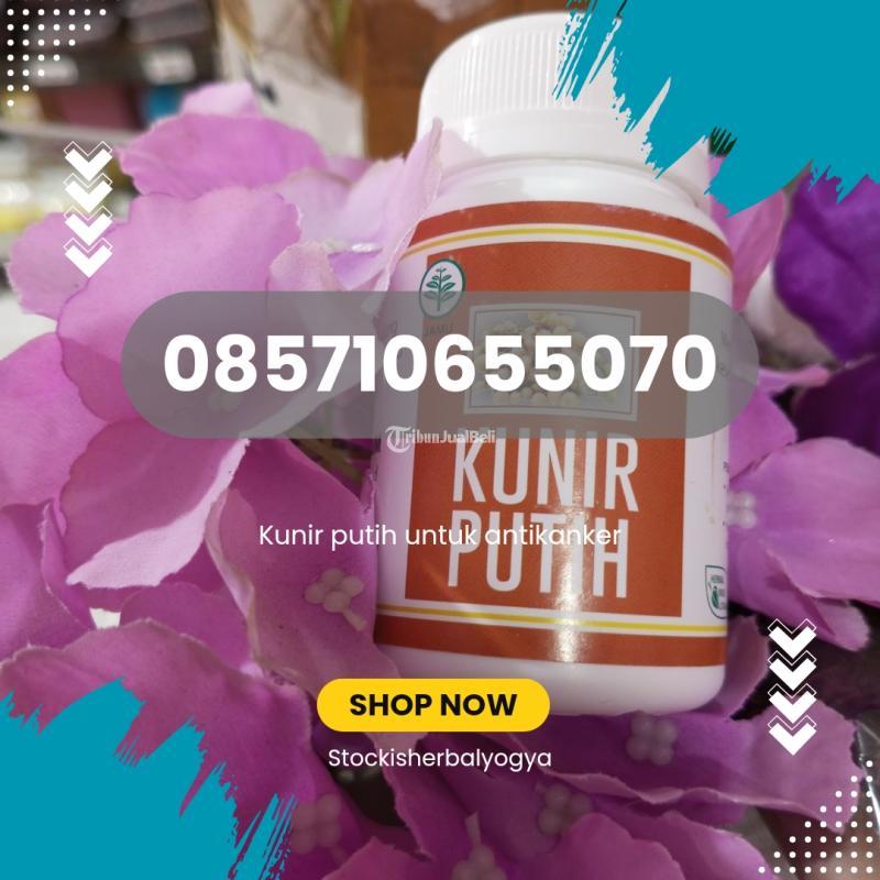 Kunir Putih Anti Jamur - Jogja