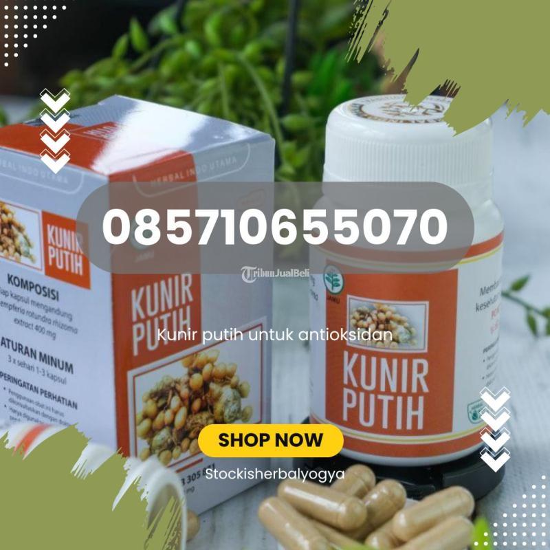 Kunir Putih Untuk Antioksidan - Jogja