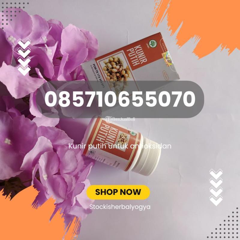 Kunir Putih Untuk Antioksidan - Jogja