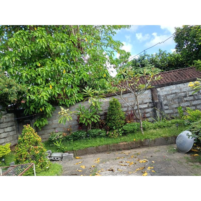 Tanah Luas 710 m2 jalan Cokroaminoto Ubung - Denpasar Bali