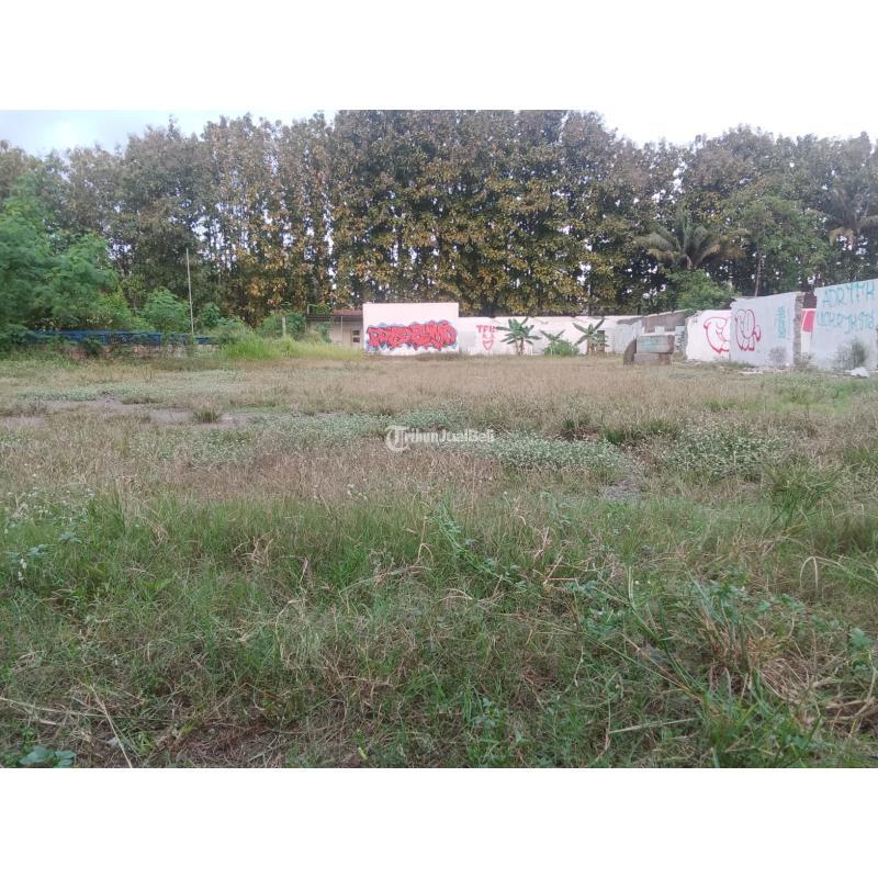 Dijual Tanah Sawah Barat Jalan Palagan KM 10 Dekat Mall SCH - Sleman