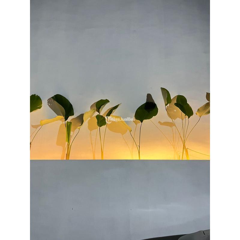 Dijual Kos Kosan Dekat Kampus Unnes Semarang Full Isi Aktif Tinggal Melanjutkan SHM - Semarang