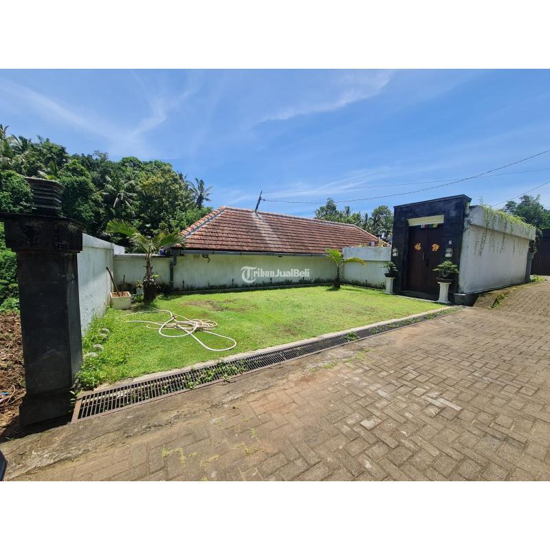 Dijual Cepat Villa Di Bali Dengan View Sawah Tipe 350 Baru Dekat Pusat Kota - Tabanan