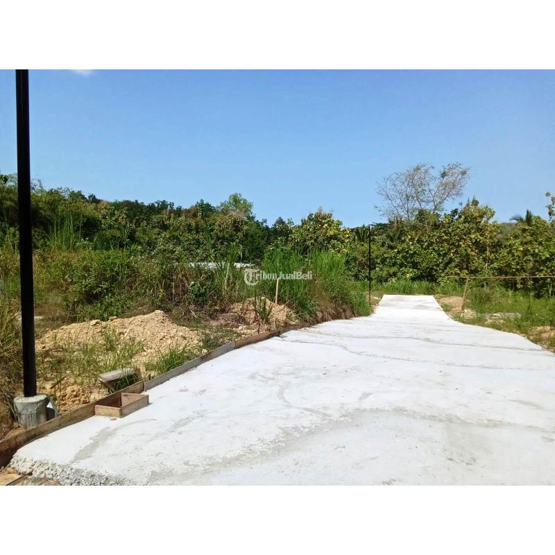 Dijual Tanah di Kulon Progo dekat Kampus IKIP PGRI Wates SHM - Kulon Progo