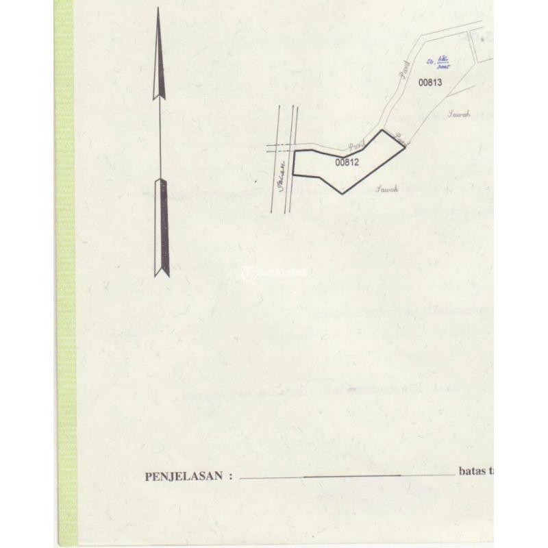 Jual Tanah Milik Sendiri Luas 1002 m2 Dekat Kopi Klotok Jogja - Sleman 