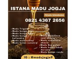 Madu Wonosari, Gunungkidul Murni, Sehat, Asli, Istana Madu - Jogja