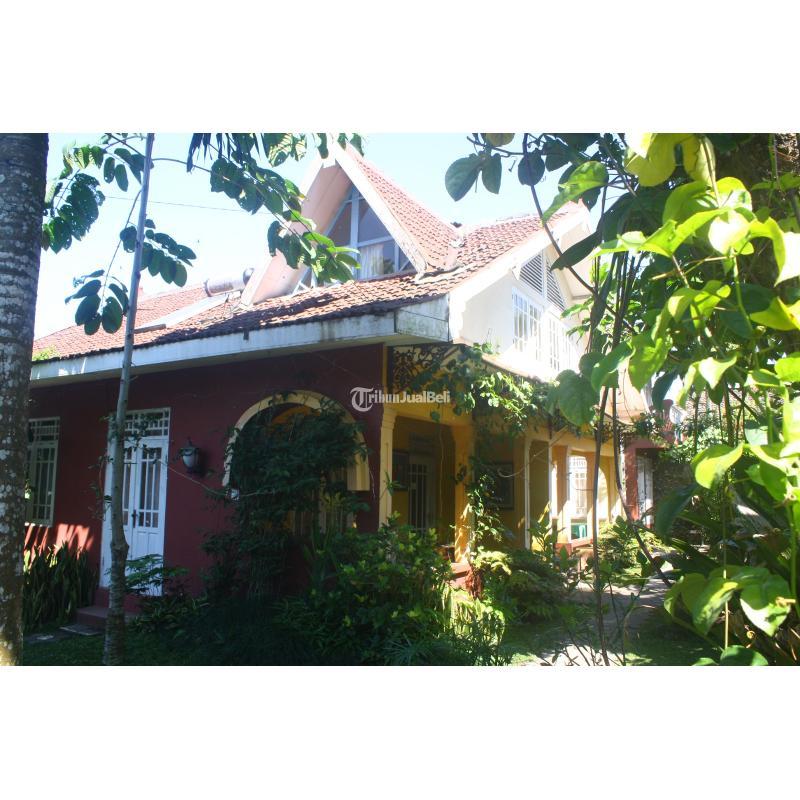 Dijual Villa Etnik Jawa Luas 1031 m2 Bekas Siap Huni Dekat HEHA Forest Kaliurang - Sleman