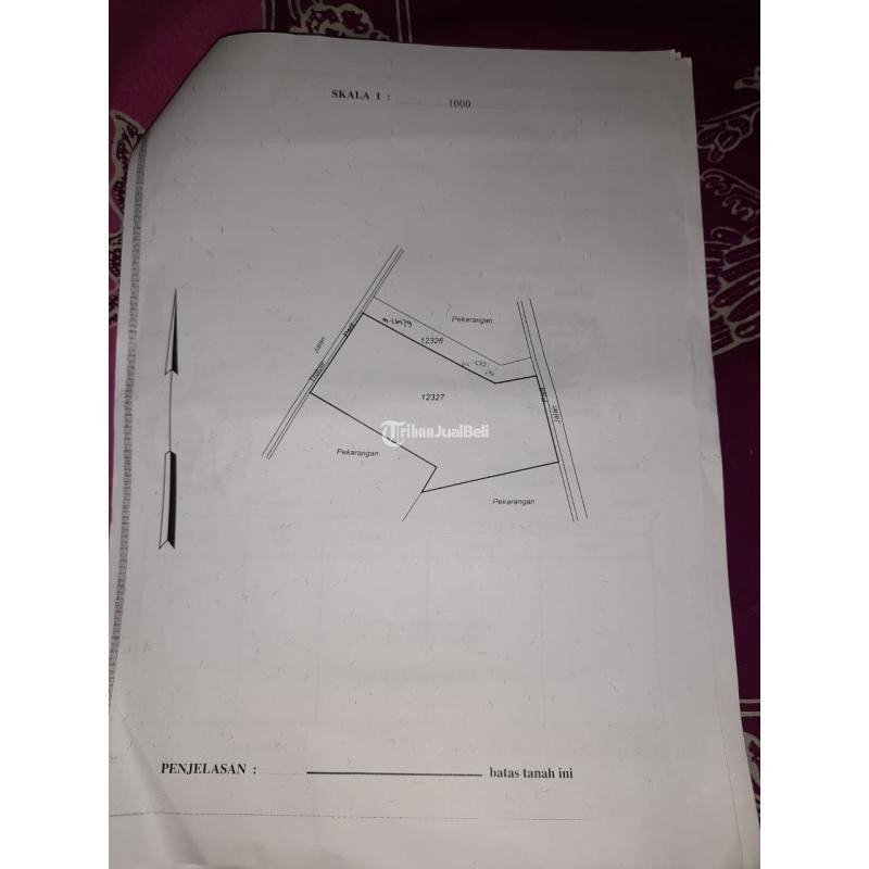 Dijual Tanah Langsung Jalan Kaliurang Km 7 LT3076 m2 Legalitas SHM - Sleman