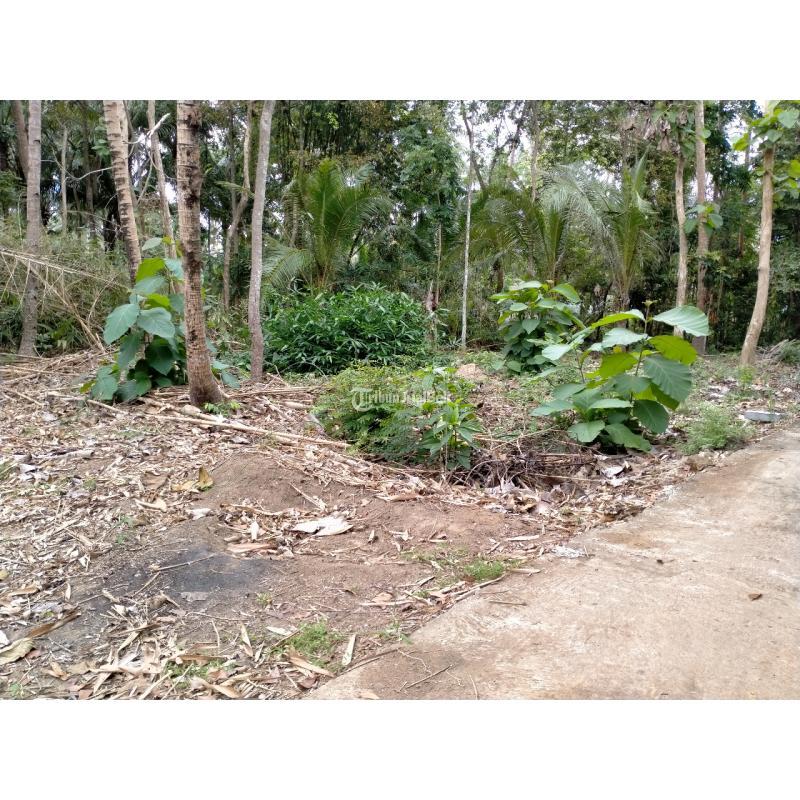 Dijual Tanah Luas 94m2 SHM di Temon dekat Bandara YIA Kulon Progo - Jogja